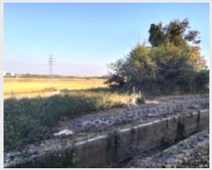  2024Ÿ��54004 ��� ���ý� ������ ��� 164-5      ����(�Ӿ�)���