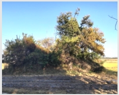  2024Ÿ��54004 ��� ���ý� ������ ��� 164-5      ����(�Ӿ�)���