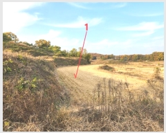  2024Ÿ54226  ý  ߸ 98      ()