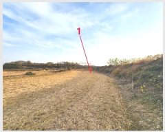  2024Ÿ54226  ý  ߸ 98      ()