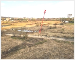  2024Ÿ54226  ý  ߸ 98      ()