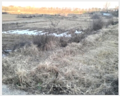  2024Ÿ54226  ý  ߸ 98      ()