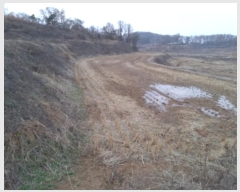  2024Ÿ54226  ý  ߸ 98      ()