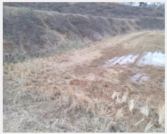  2024Ÿ54226  ý  ߸ 98      ()