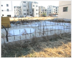  2024Ÿ54776  ý  2121-4       ()