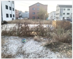  2024Ÿ54776  ý  2121-4       ()