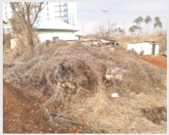  2024Ÿ��56680 ��� ���ý� ������ �α��� ��119-8      ����(�Ӿ�)���