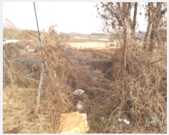  2024Ÿ��56680 ��� ���ý� ������ �α��� ��119-8      ����(�Ӿ�)���