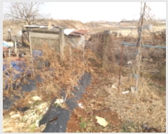  2024Ÿ��56680 ��� ���ý� ������ �α��� ��119-8      ����(�Ӿ�)���