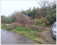  2024Ÿ��1642 ��� ���ý� ������ �渲�� 358      ����(����)���