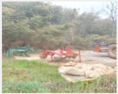  2024Ÿ��1642 ��� ���ý� ������ �渲�� 358      ����(����)���