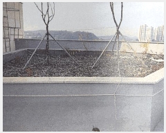  2024Ÿ��4511  �ٸ��ü����