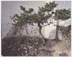  2024Ÿ��4511  �ٸ��ü����