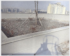  2024Ÿ��4511  �ٸ��ü����