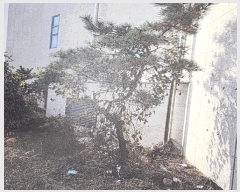  2024Ÿ��4511  �ٸ��ü����