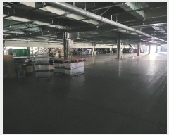  2024Ÿ��4726 ��� �ȼ��� ����� ������ 450-3      ����(��)���