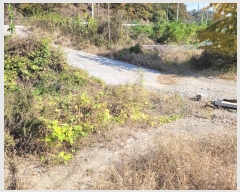  2024Ÿ��4726 ��� �ȼ��� ����� ������ 450-3      ����(��)���