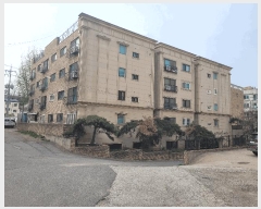  2024Ÿ42940  ý 65 43, ̵ 1104ȣ (嵿,ӸƮ)    ټ,