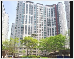  2024Ÿ43936  ȼ   4725, 128 4405ȣ (ȼԵĳ)   Ʈ