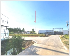  2024Ÿ��45956  ����������