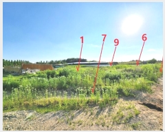  2024Ÿ��45956  ����������