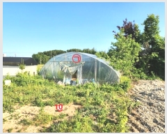  2024Ÿ��45956  ����������