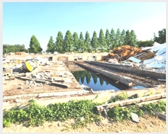  2024Ÿ��45956  ����������