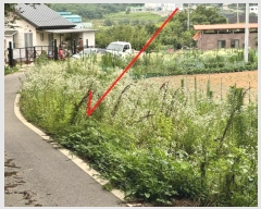  2024Ÿ��48399  �����