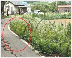  2024Ÿ��48399  �����