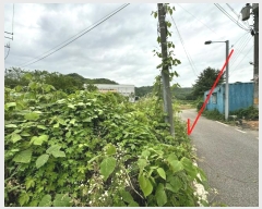  2024Ÿ��48399  �����