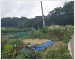  2024Ÿ��48399  �����