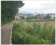  2024Ÿ��48399  �����