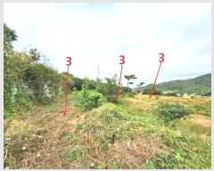  2024Ÿ��52558  ����������