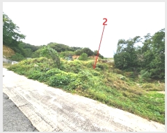  2024Ÿ��52558  ����������