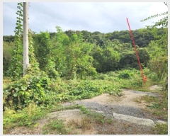  2024Ÿ��52558  ����������