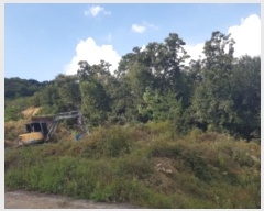  2024Ÿ��52558  ����������