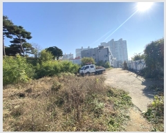  2024Ÿ53254  ý  ø 80-22      (Ӿ)