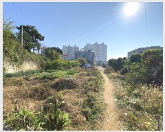  2024Ÿ53254  ý  ø 80-22      (Ӿ)