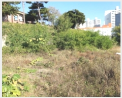  2024Ÿ53254  ý  ø 80-22      (Ӿ)