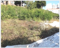  2024Ÿ53254  ý  ø 80-22      (Ӿ)