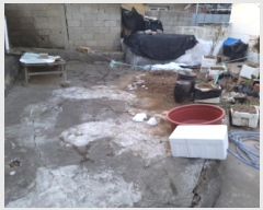  2024Ÿ55700  ý ؼ  47-38      ð