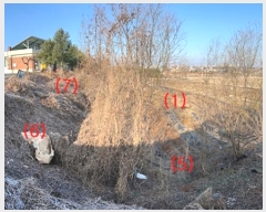  2024Ÿ��496 ��� ���ý� ������ ���� 627      ����(��1)���