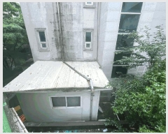  2024Ÿ��2997  �ٸ��ü����