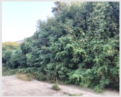  2024Ÿ3570  ý û Ÿ 519-25      (Ӿ)