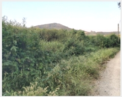  2024Ÿ3570  ý û Ÿ 519-25      (Ӿ)