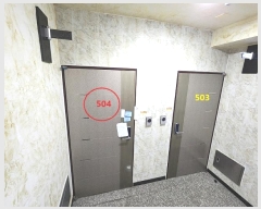  2024Ÿ42056  ý 534 65, 5504ȣ (,Ʈĳ2)     ǽڰ