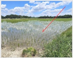  2024Ÿ��46010 ��� ���ý� ������ ȫ���� 1020-2      ����(��)���