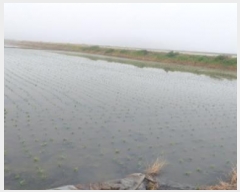  2024Ÿ��46010 ��� ���ý� ������ ȫ���� 1020-2      ����(��)���