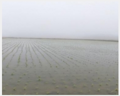  2024Ÿ��46010 ��� ���ý� ������ ȫ���� 1020-2      ����(��)���