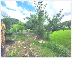  2024Ÿ��48566 ��� �ȼ��� ����� ���ָ� 302      ����(��)���